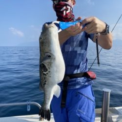 シーモンキー 釣果