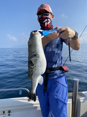 シーモンキー 釣果