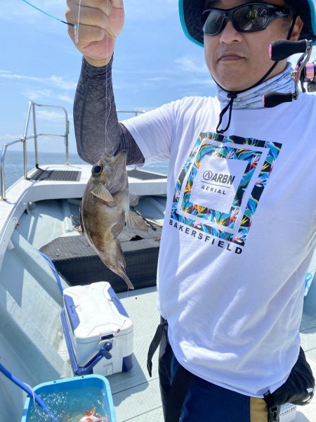 リトルワン 釣果