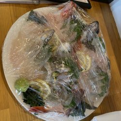 リトルワン 釣果