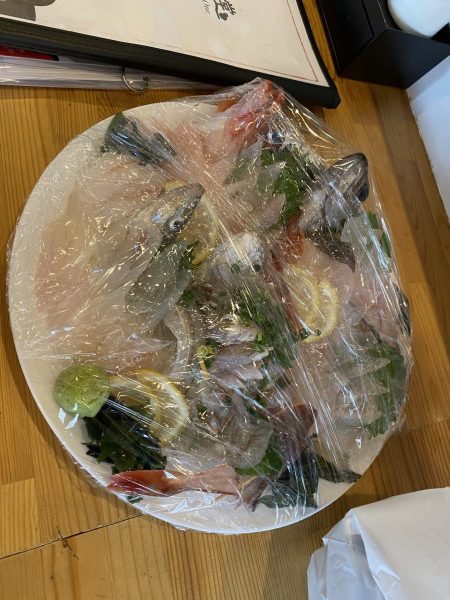 リトルワン 釣果