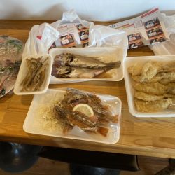 リトルワン 釣果