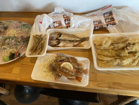 リトルワン 釣果