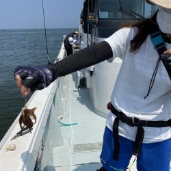 リトルワン 釣果