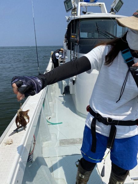 リトルワン 釣果