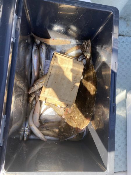 リトルワン 釣果