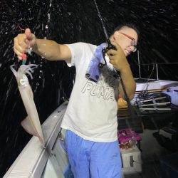 リトルワン 釣果