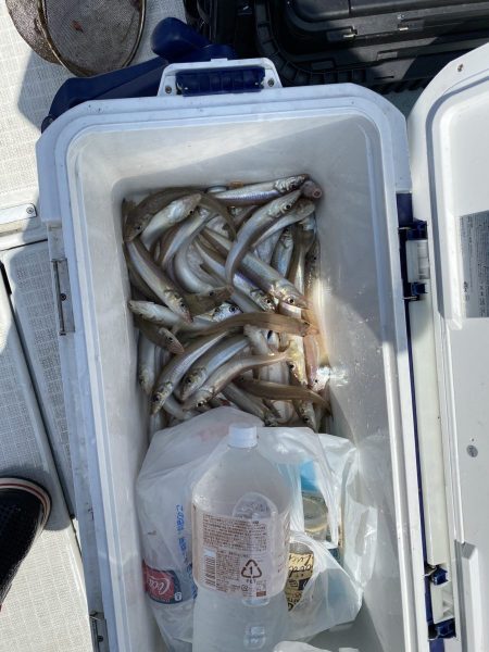 リトルワン 釣果