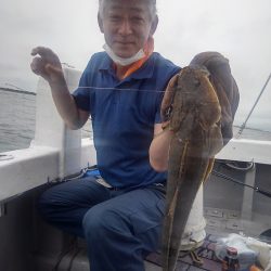 幸導丸 釣果