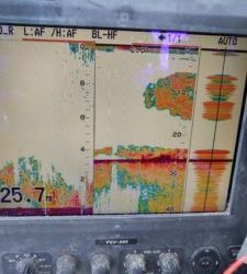 東京湾探釣隊ぼっち 釣果