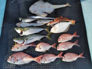 東京湾探釣隊ぼっち 釣果