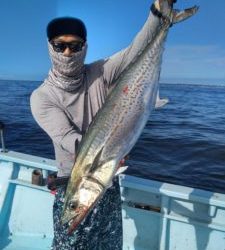 東京湾探釣隊ぼっち 釣果