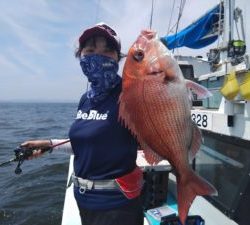 東京湾探釣隊ぼっち 釣果