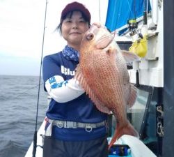東京湾探釣隊ぼっち 釣果