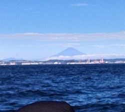 東京湾探釣隊ぼっち 釣果