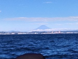 東京湾探釣隊ぼっち 釣果