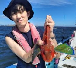 東京湾探釣隊ぼっち 釣果