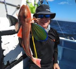 東京湾探釣隊ぼっち 釣果