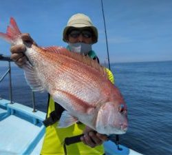 東京湾探釣隊ぼっち 釣果