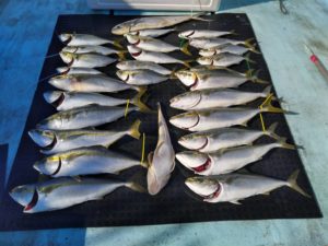 東京湾探釣隊ぼっち 釣果