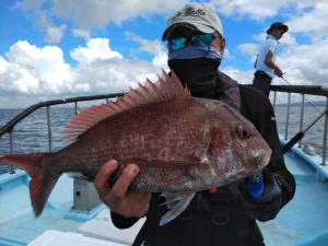 東京湾探釣隊ぼっち 釣果