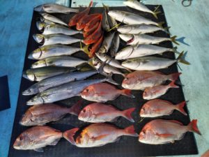 東京湾探釣隊ぼっち 釣果