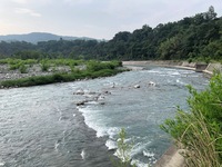 秩父フライフィールド 釣果