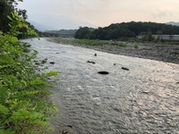 秩父フライフィールド 釣果