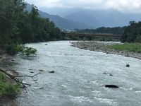 秩父フライフィールド 釣果