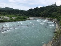 秩父フライフィールド 釣果