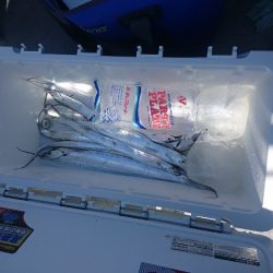 第二明康丸 釣果