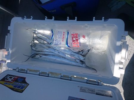 第二明康丸 釣果