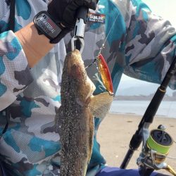 鹿児島灼熱釣行レポート【サンライン　ISメッシュパーカー　インプレッション】