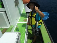 なごみ船 釣果