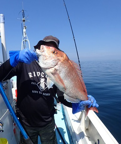 水天丸 釣果