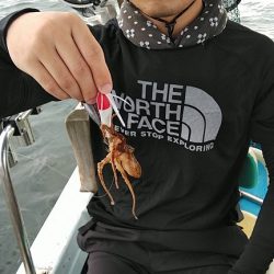 フィッシングガイド りょう 釣果