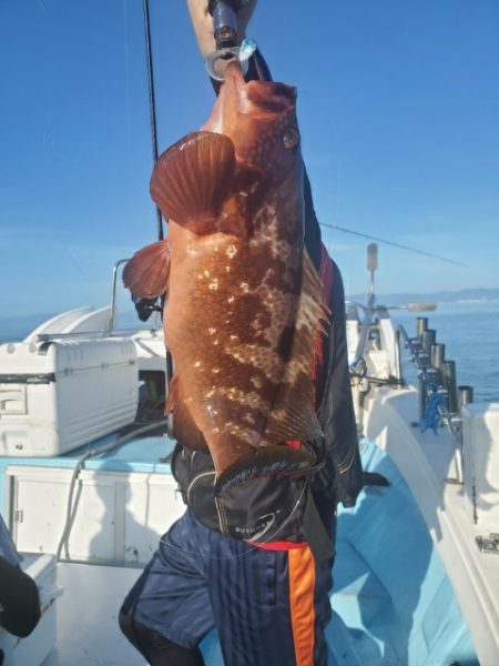 海晴丸 釣果