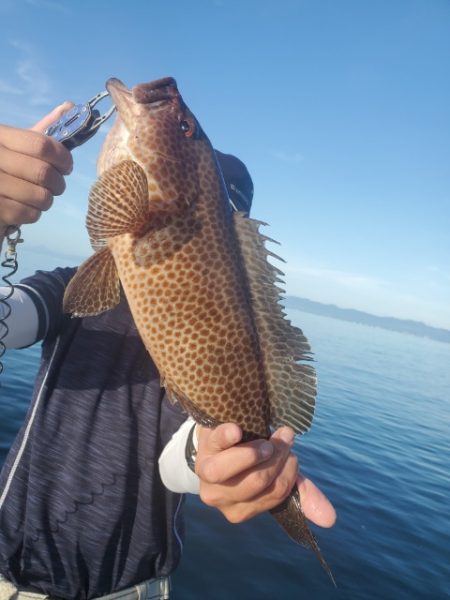 海晴丸 釣果