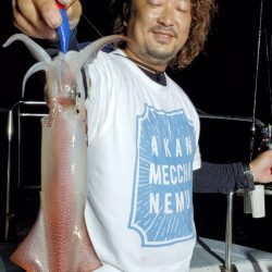 LUSTER『ラスター』 釣果