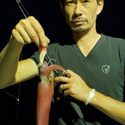 LUSTER『ラスター』 釣果