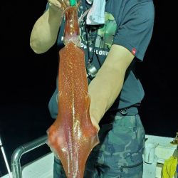 LUSTER『ラスター』 釣果