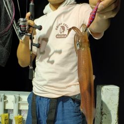 LUSTER『ラスター』 釣果