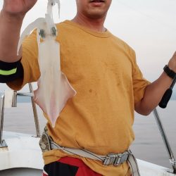 LUSTER『ラスター』 釣果