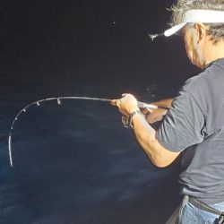 LUSTER『ラスター』 釣果