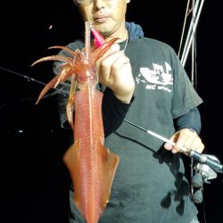 LUSTER『ラスター』 釣果