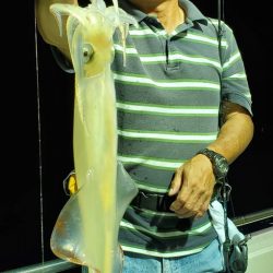 LUSTER『ラスター』 釣果