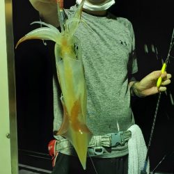 LUSTER『ラスター』 釣果