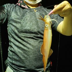 LUSTER『ラスター』 釣果