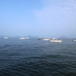 エル・クルーズ 釣果