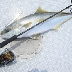 エル・クルーズ 釣果